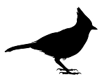 Jay Silhouette Decal Sticker